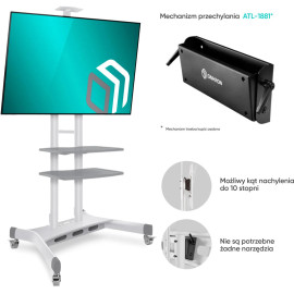 Mobilny stojak do TV 50"-83" do 90 kg ONKRON TS1881 Biały